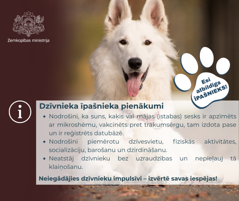 Balts vilka suns