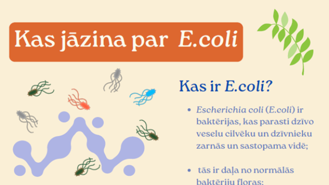 E.coli