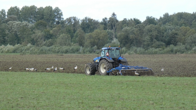 Traktors apar lauku