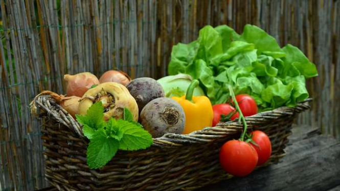 basket-food