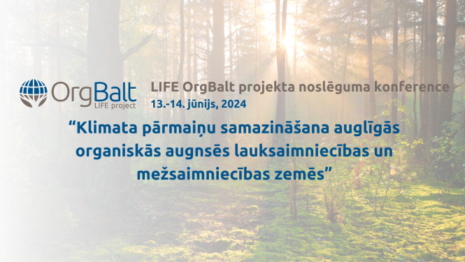 Orgbalt konference