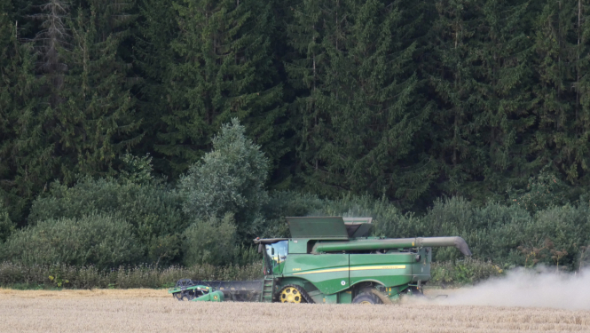 Traktors kuļ labību laukā, mežmalā 