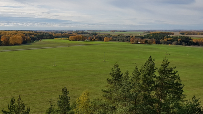Lauku skats