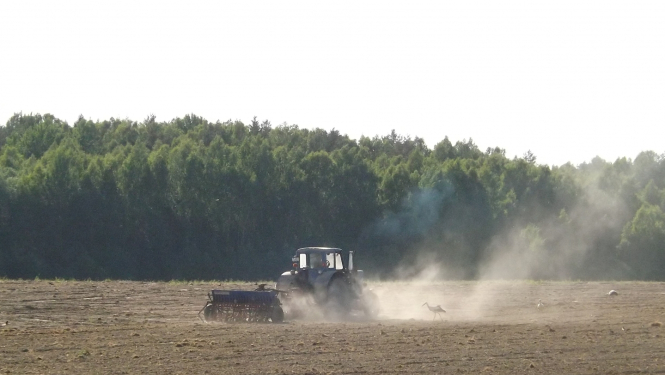 Traktors uz lauka