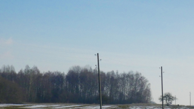 Lauks ziemā