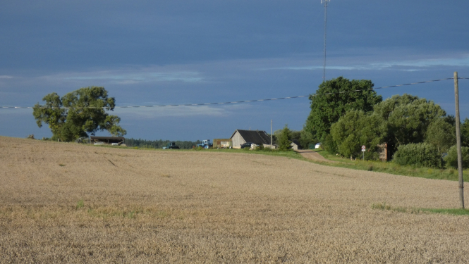 Lauka skats