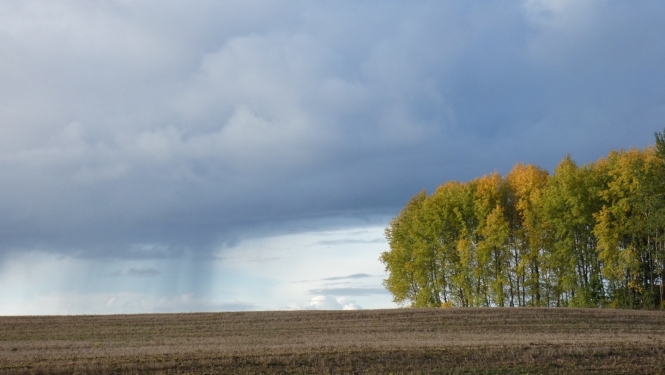 Lauku ainava. 