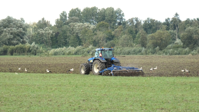 traktors uz lauka