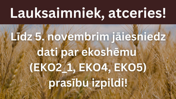 Plakāts ar atgādinājumu iesniegt informāciju VAAD