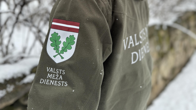 VMD formastērps
