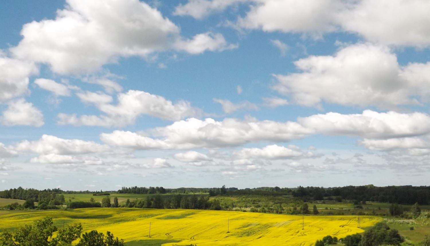 Māja, lauks, koki