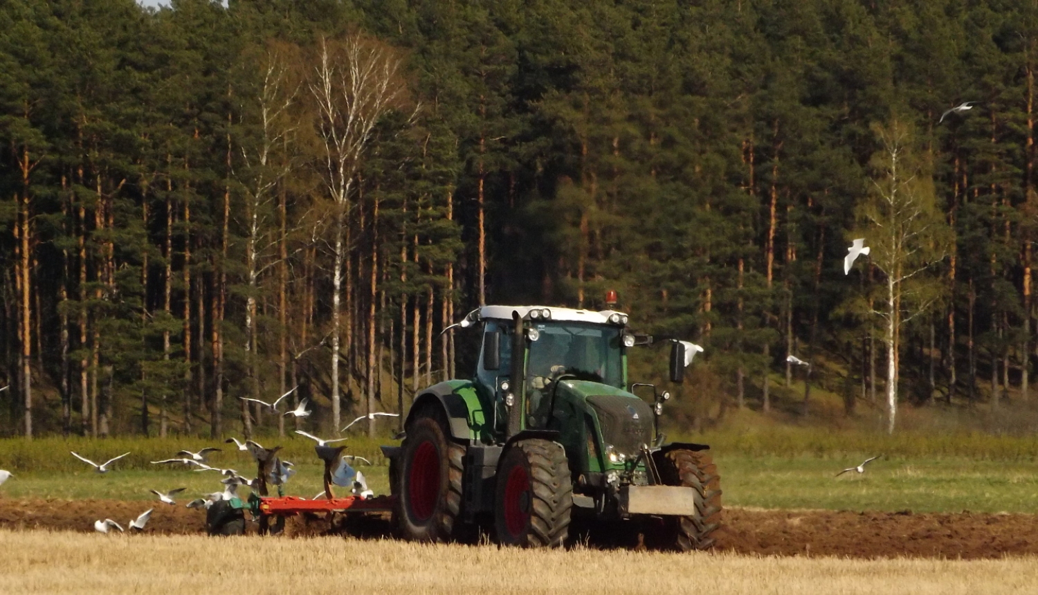Traktors apar lauku pavasarī