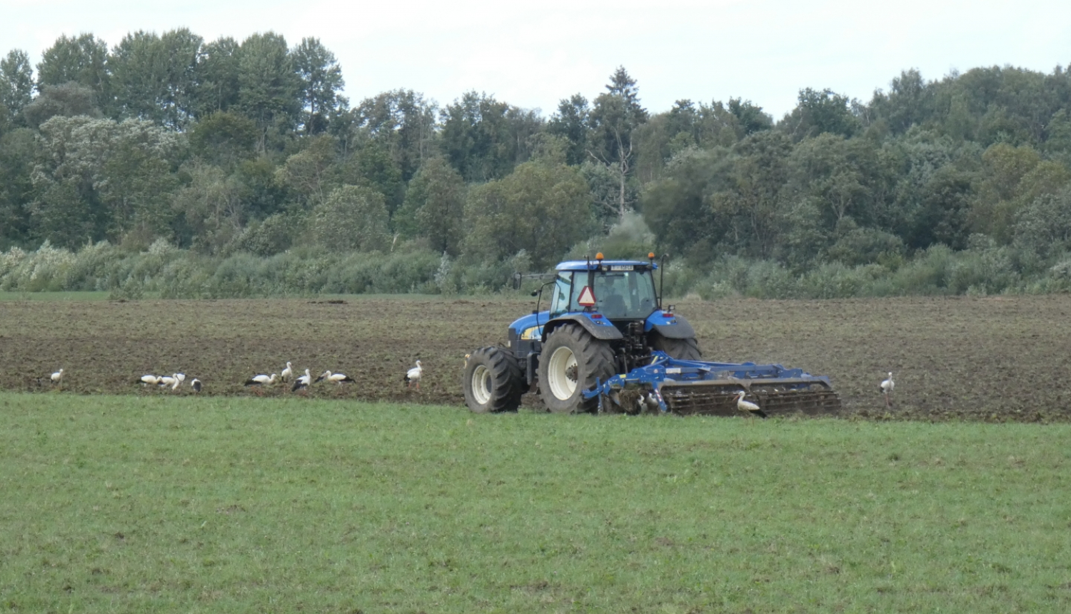 Traktors apar lauku