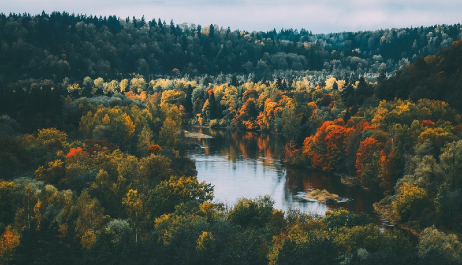 Gauja