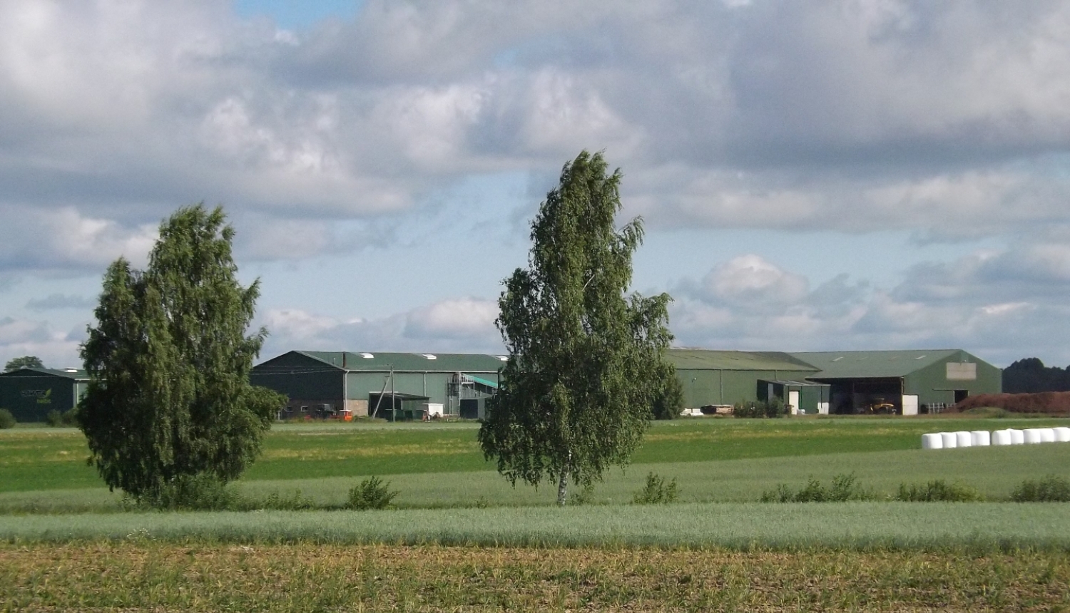 Ferma tālumā pļavā