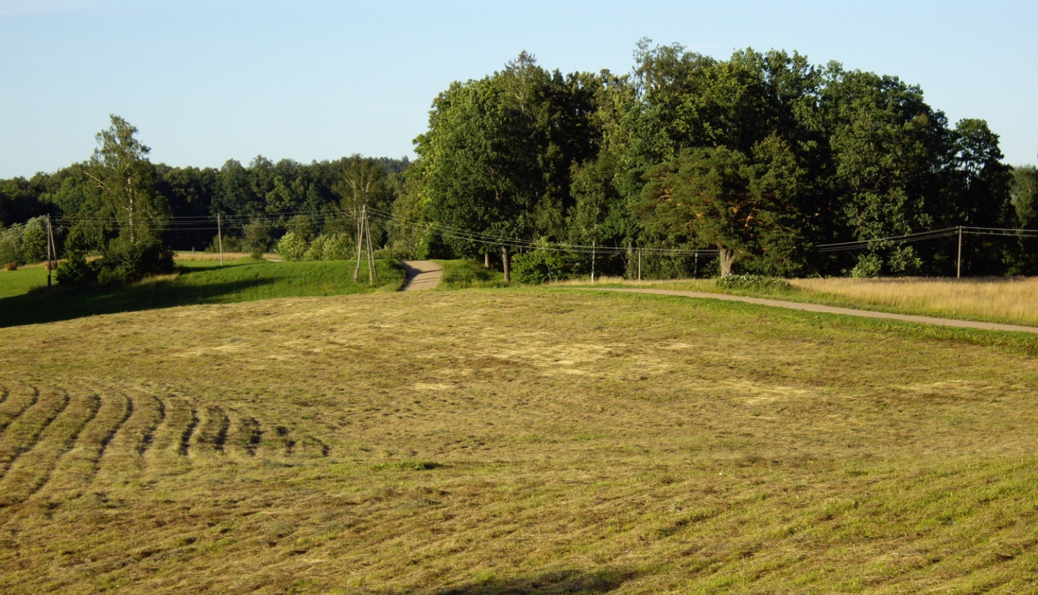 Nopļauts zālājs