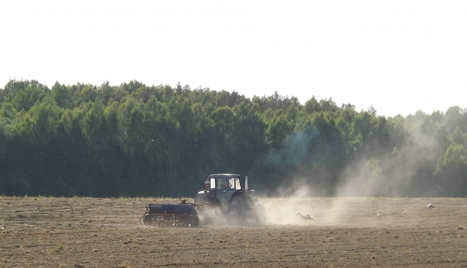 Traktors uz lauka