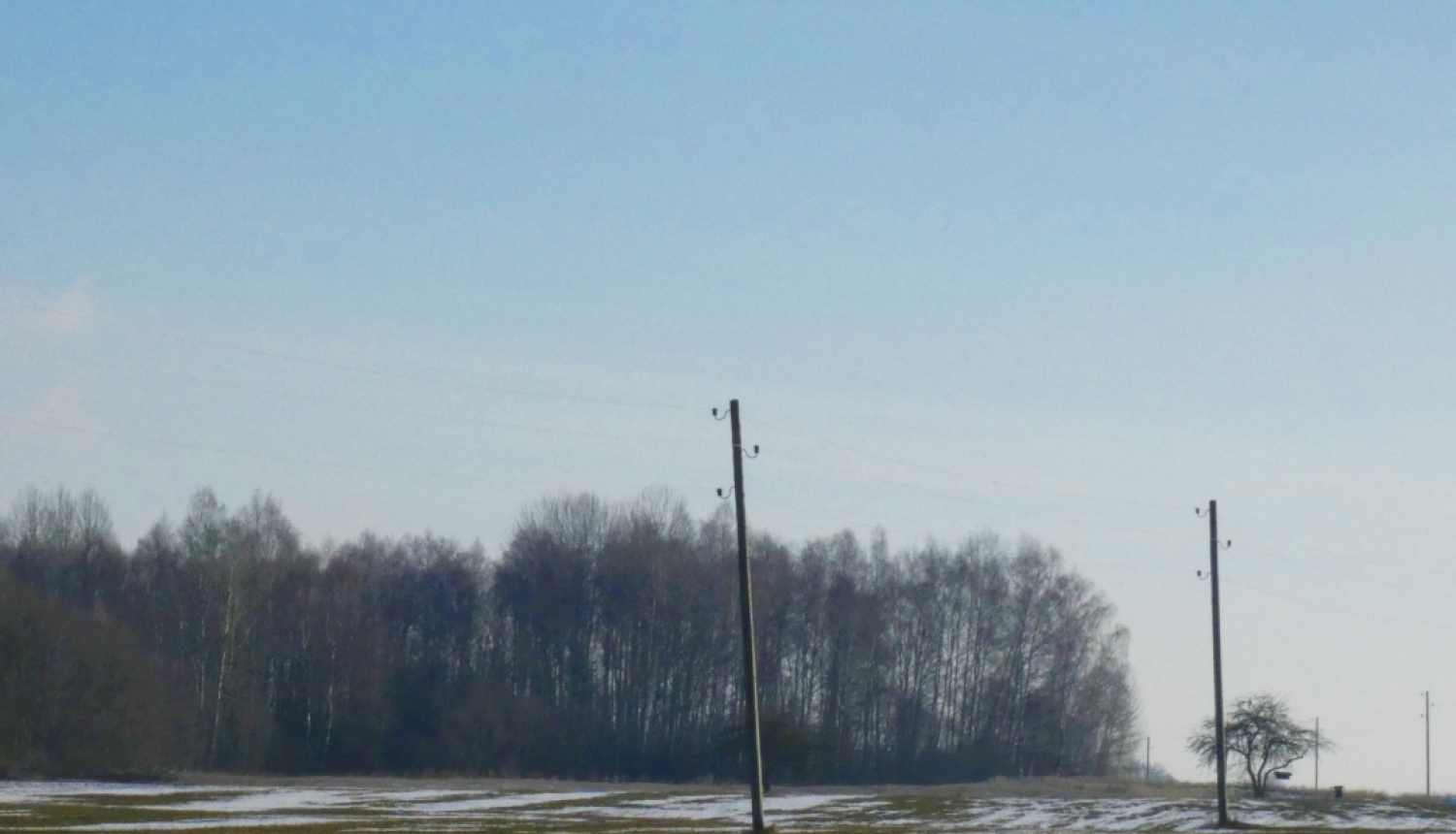 Lauks ziemā