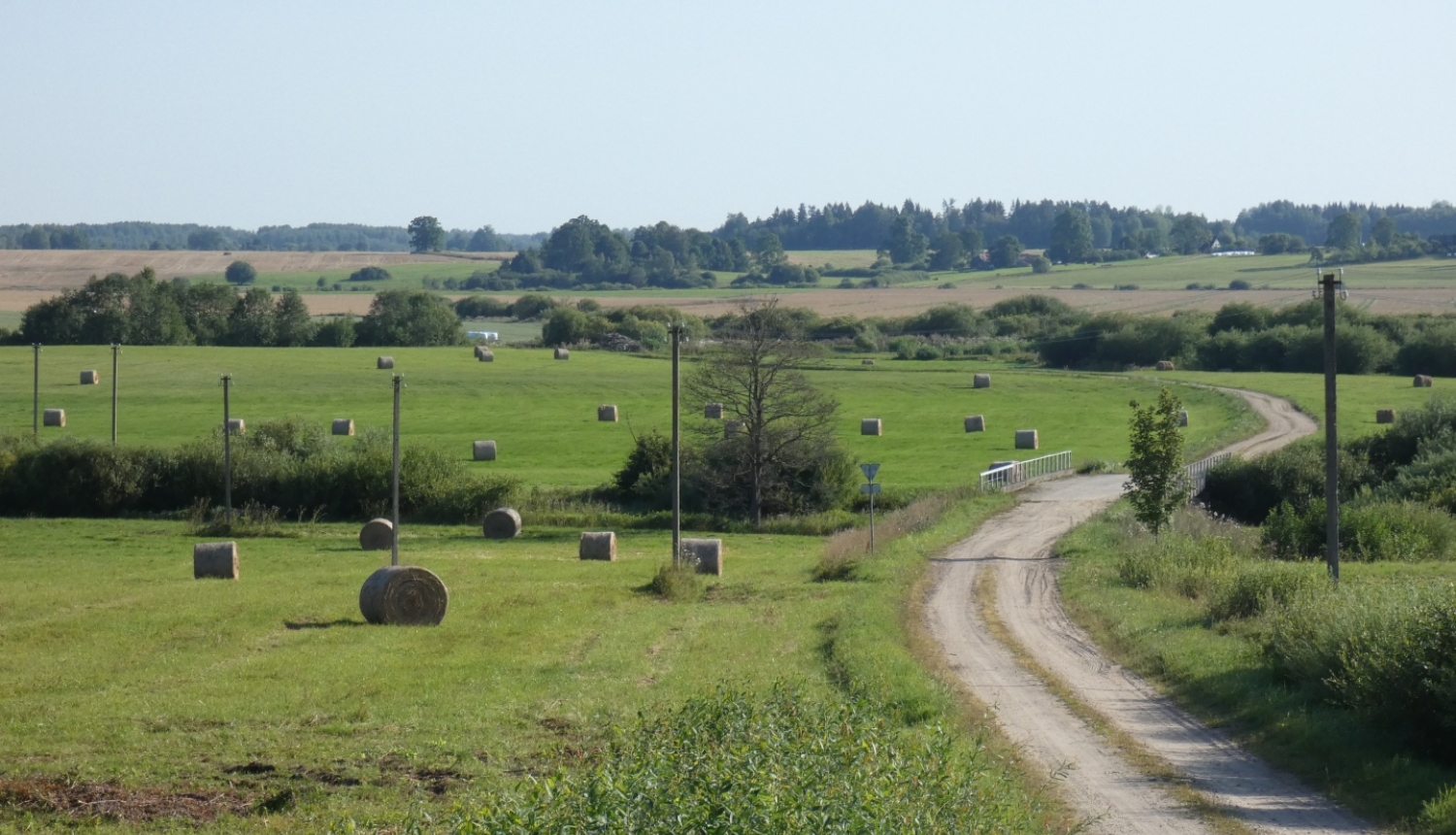 Lauku ainava ar ceļu un siena ruļļiem. 