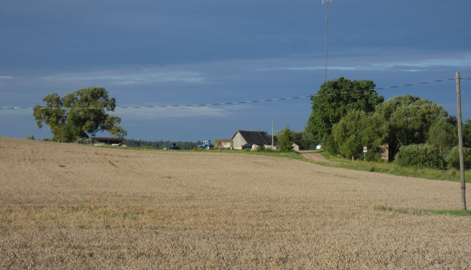 Lauka skats