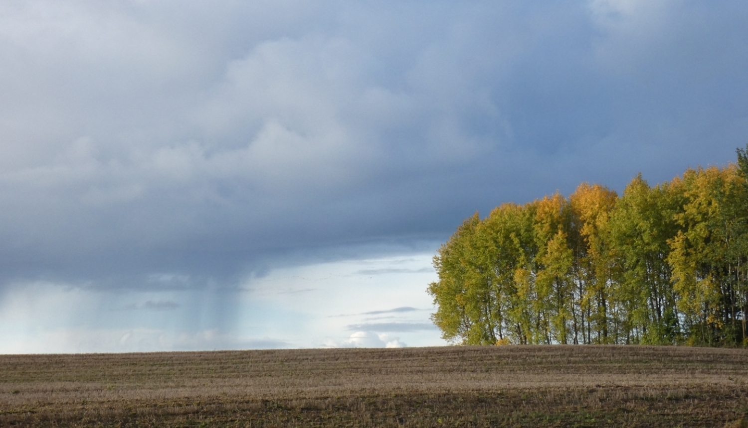 Lauku ainava. 