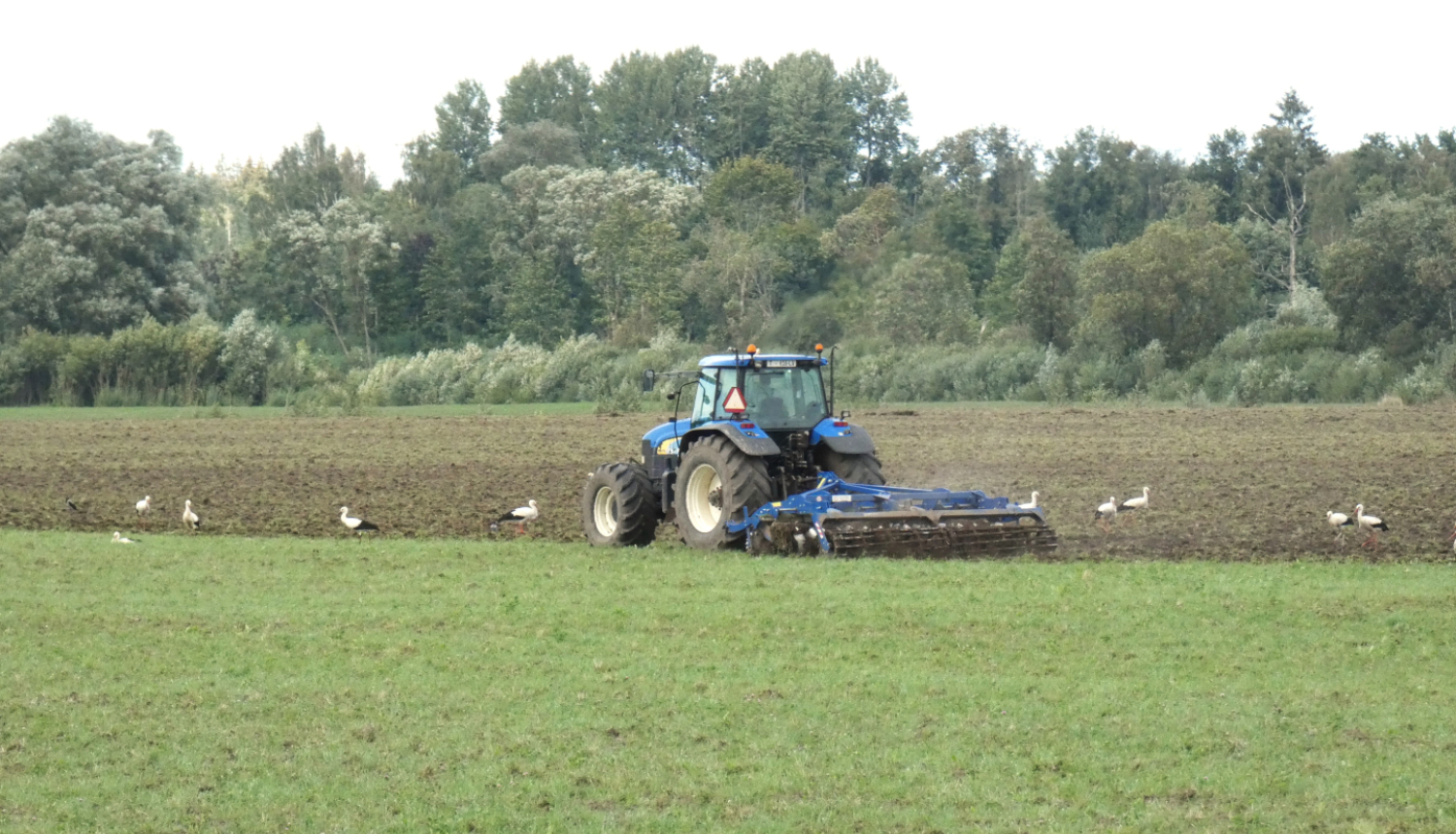 traktors uz lauka