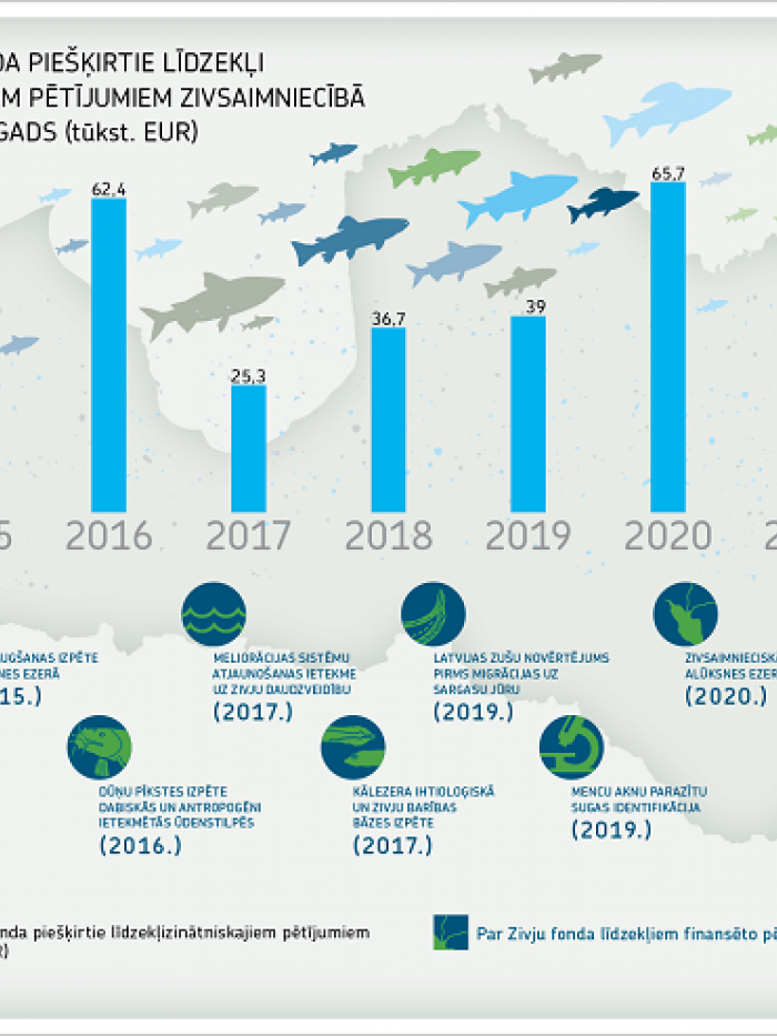 infografika-petijumi