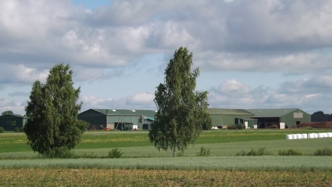 Ferma tālumā pļavā