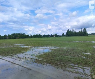 Aplūdis lauks