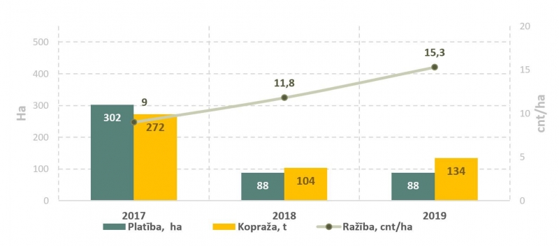 Eļļas linu apsētā platība, kopraža un ražība 2017.–2019. gadā