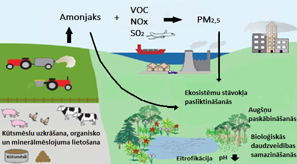 Amonjaka emisijas ietekme uz vidi