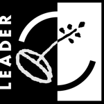 LEADER logo