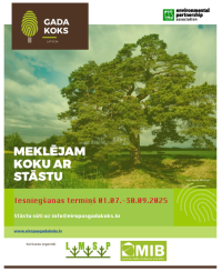 Eiropas Gada koka 2025 logo
