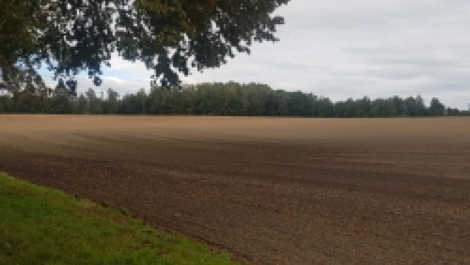 augsnes izpēte