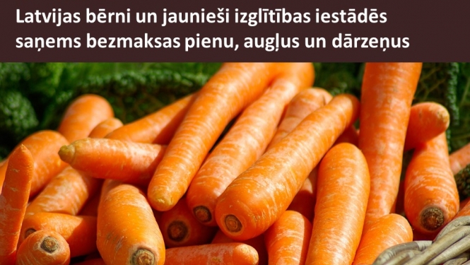 dārzēņi