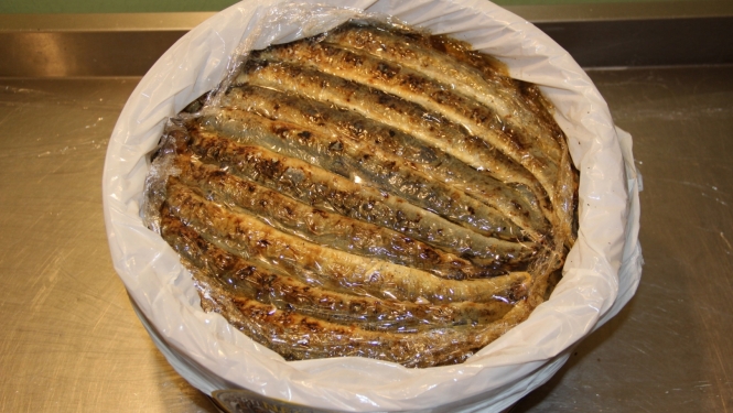 Salacgrīvas nēģi