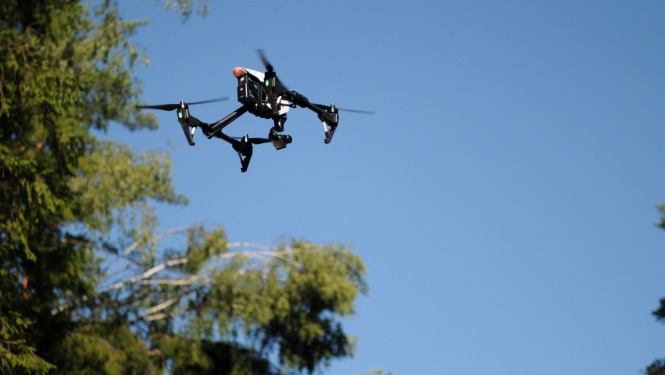 Drons virs meža