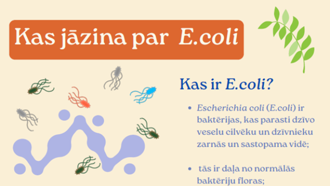 E.coli
