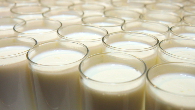 Daudz stikla glāzes ar pienu