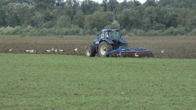 Traktors apar lauku