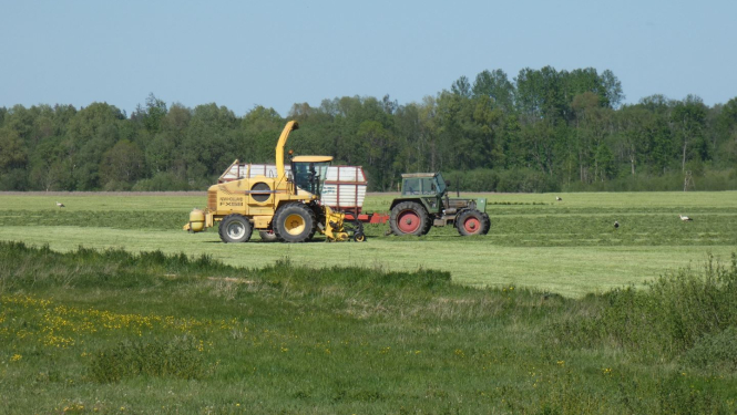 Pļaujmašīna un traktors laukā vāc zāli