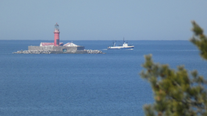 Bāka jūrā un mazlaiva