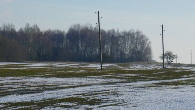 Lauks ziemā