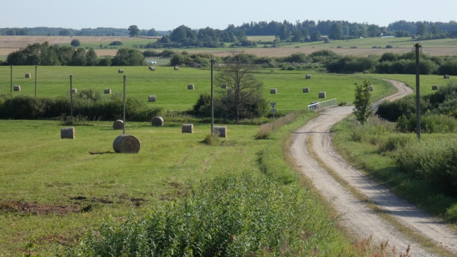 Mozaīkveida lauksaimnieciskā ainava vasarā ar nelielām druvām, pļavām, ganībām, zemnieku sētu un lauku ceļu pāri Susējas upei