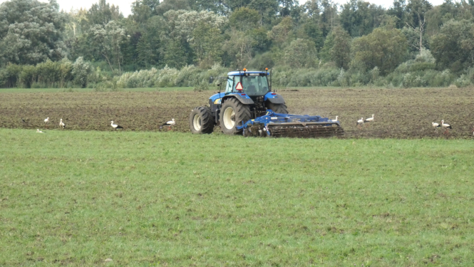 traktors uz lauka