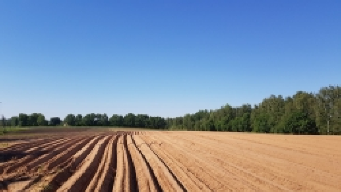 augsnes izpētes projekts