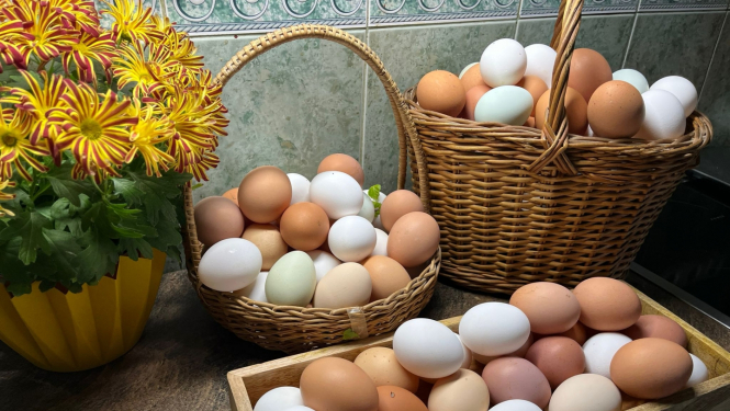 Pīti grozi pilni ar baltām un brūnām olām