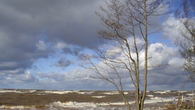 No nākamā gada varēs pieteikties atbalstam pasākumā “Integrētā jūrlietu politika”
