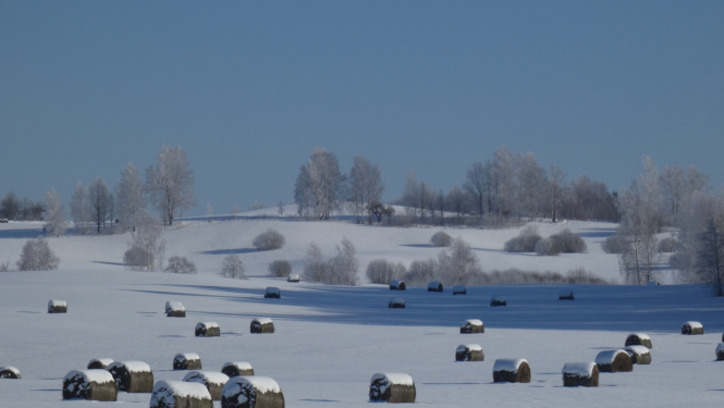 Valdība nosaka kritērijus Lauksaimnieku konsultatīvajā padomē iekļaujamām dalīborganizācijām