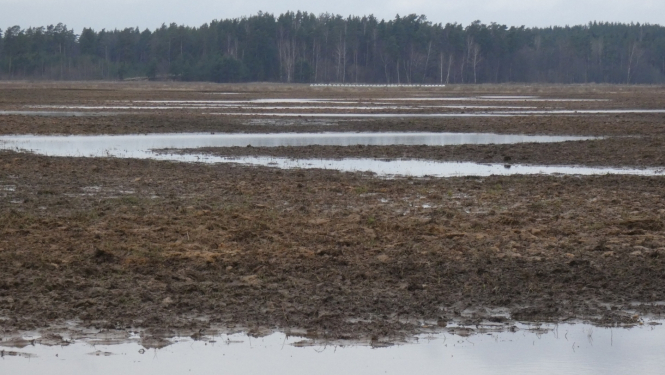 Applūdis lauks Jēkabpilī